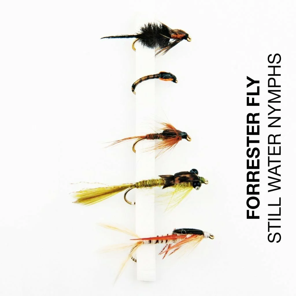 Dam Forrester Lake Nymphs 1 Dam Forrester Lake Nymphs