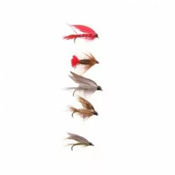 Dam Forrester Fly Wet Flies 5 Stuks